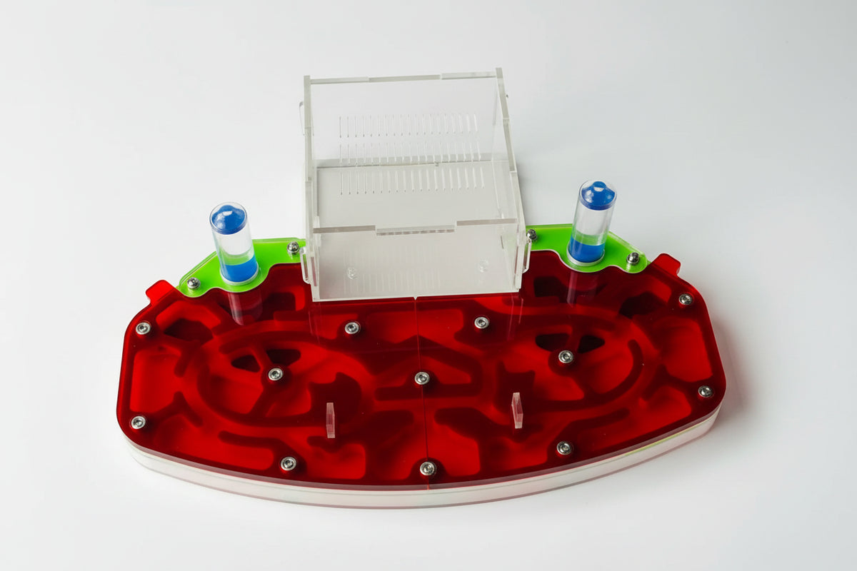 Side profile of 24x18x6.5cm acrylic ant habitat showing depth and panel clarity