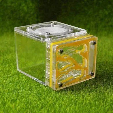 Acrylic Mini 3D Ant Nest, 5 Color Variants