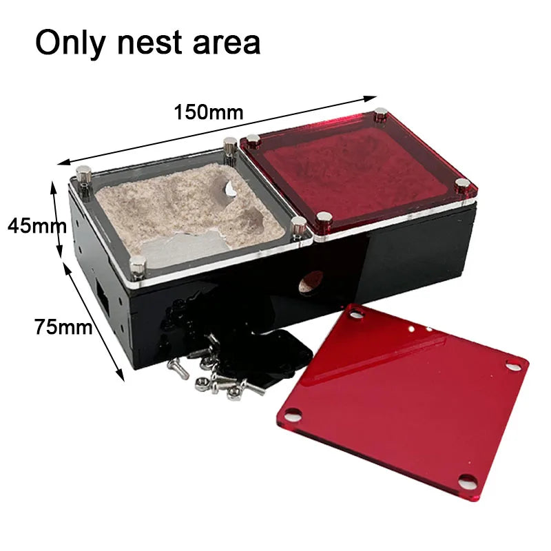 Concrete Expandable Ant Farm Formicarium with Hunting Area
