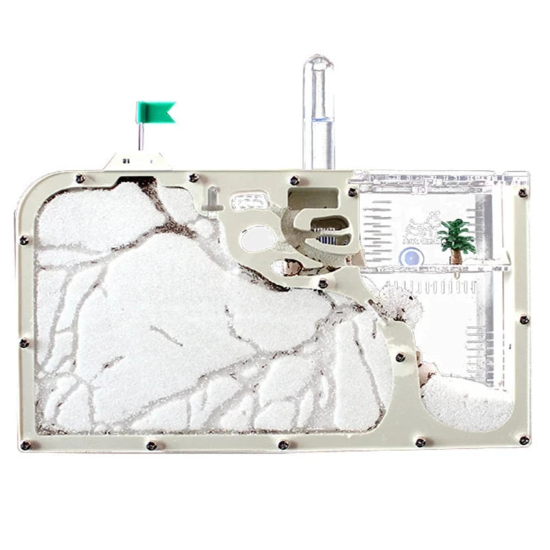 Sand ant farm glass enclosure with tools and white digging sand included in box