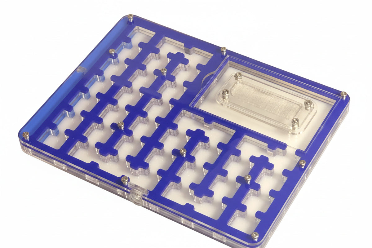 Acrylic ant farm feeding area compartment separated from nesting zone