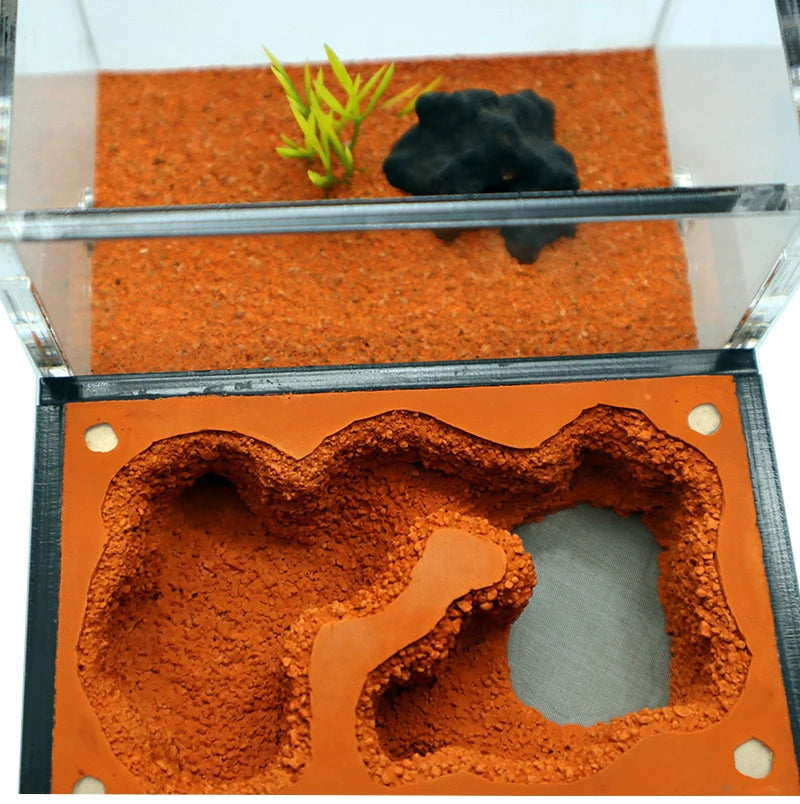 Concrete Ant Farm with Water Tower + Garbage Area