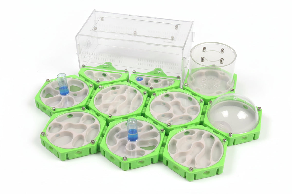 Single honeycomb ant nest module 9.6x8.7cm, food-safe plastic, side moisture port detail