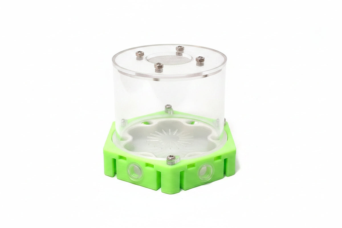 3D Modular Ant Farm Nest: expandable honeycomb maze, 5 sizes