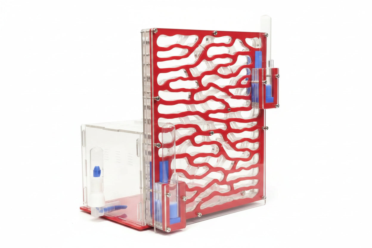 Large acrylic ant farm color variants: red, green, white, deep blue, yellow