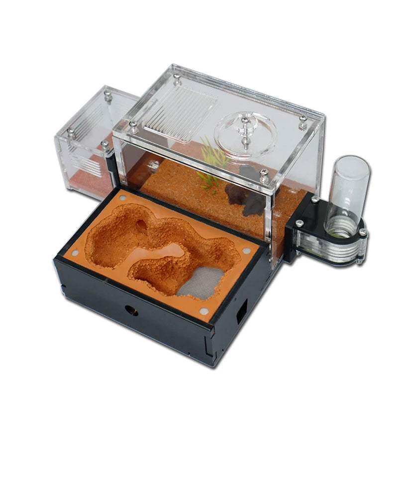 Concrete Ant Farm with Water Tower + Garbage Area