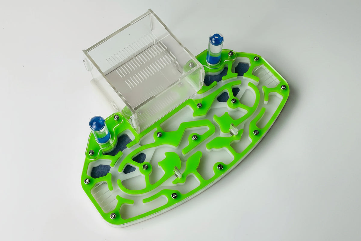Close-up of acrylic ant nest tunnel chambers and moisturizing zone detail