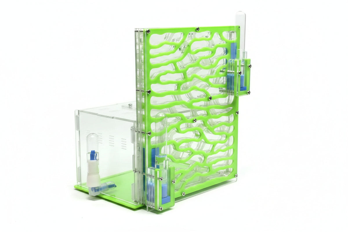 Acrylic ant farm hydration tower detail showing capillary water feed system
