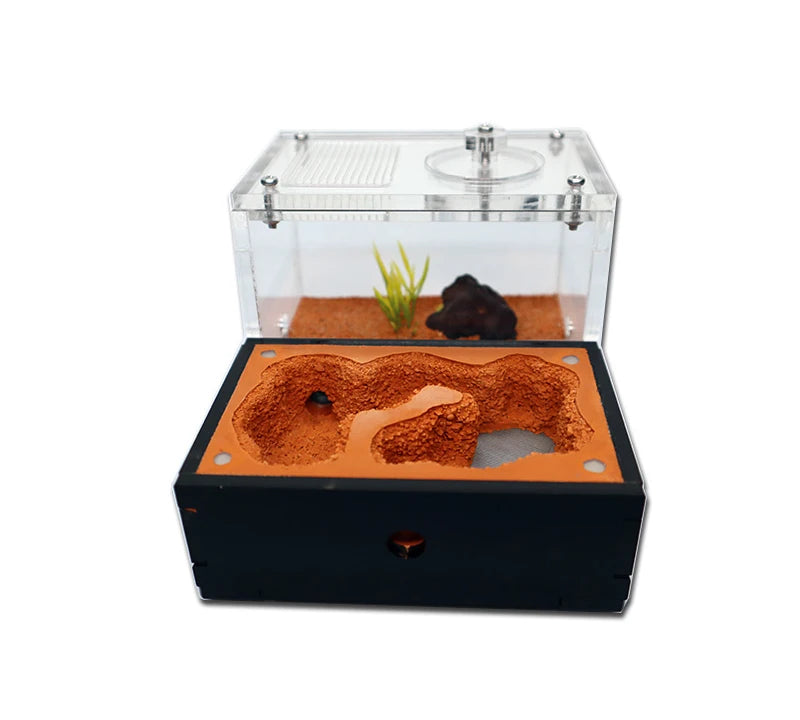 Concrete Ant Farm with Water Tower + Garbage Area