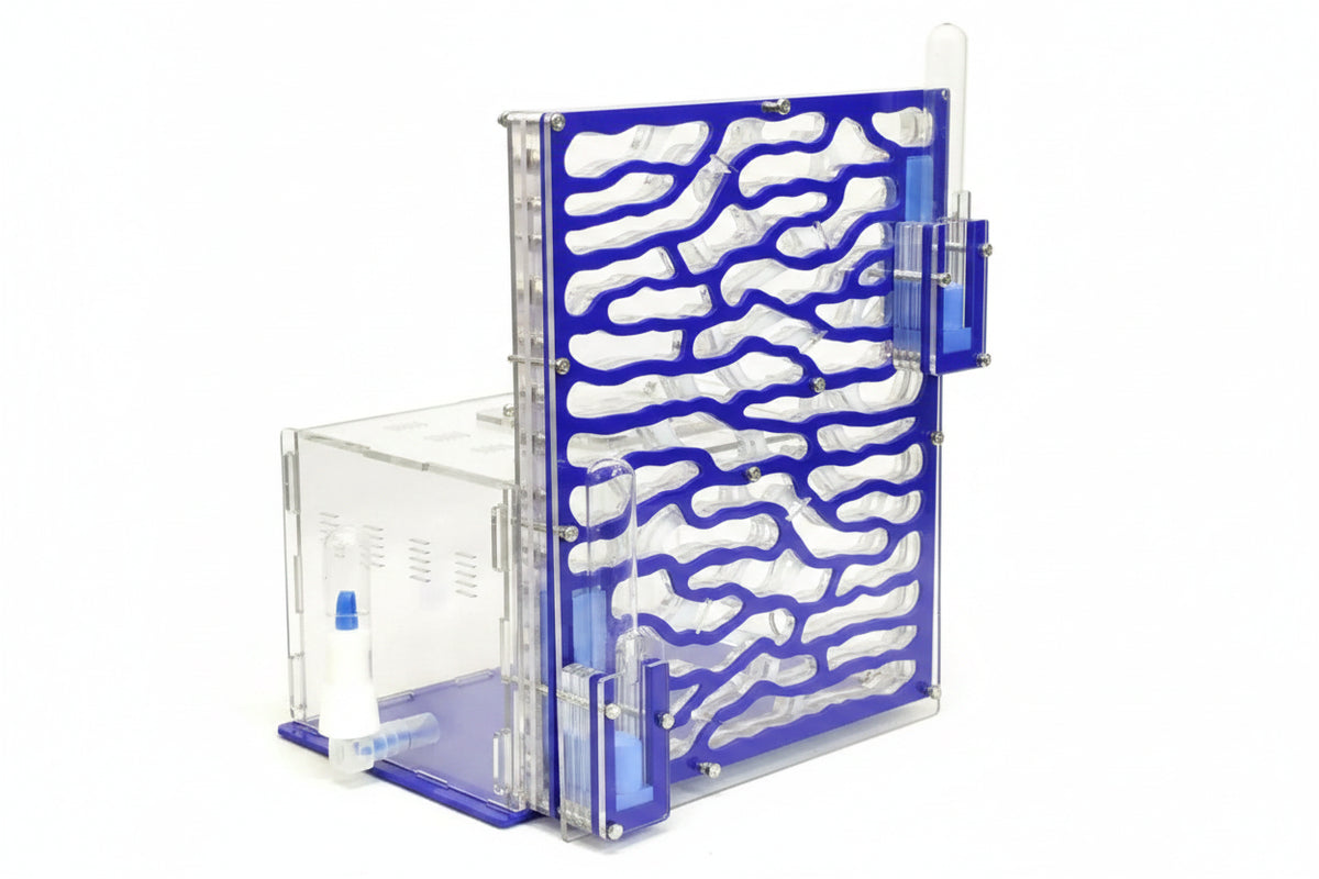 Side view of 6-layer acrylic ant nest showing stratified chamber layout