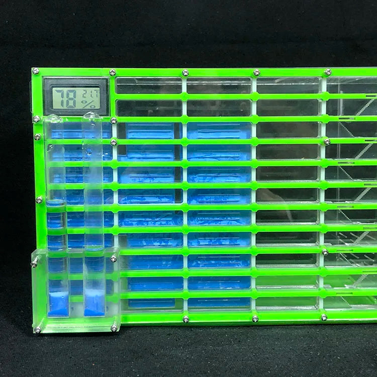 Assembled King Size acrylic ant farm showing chamber depth and clear panel clarity