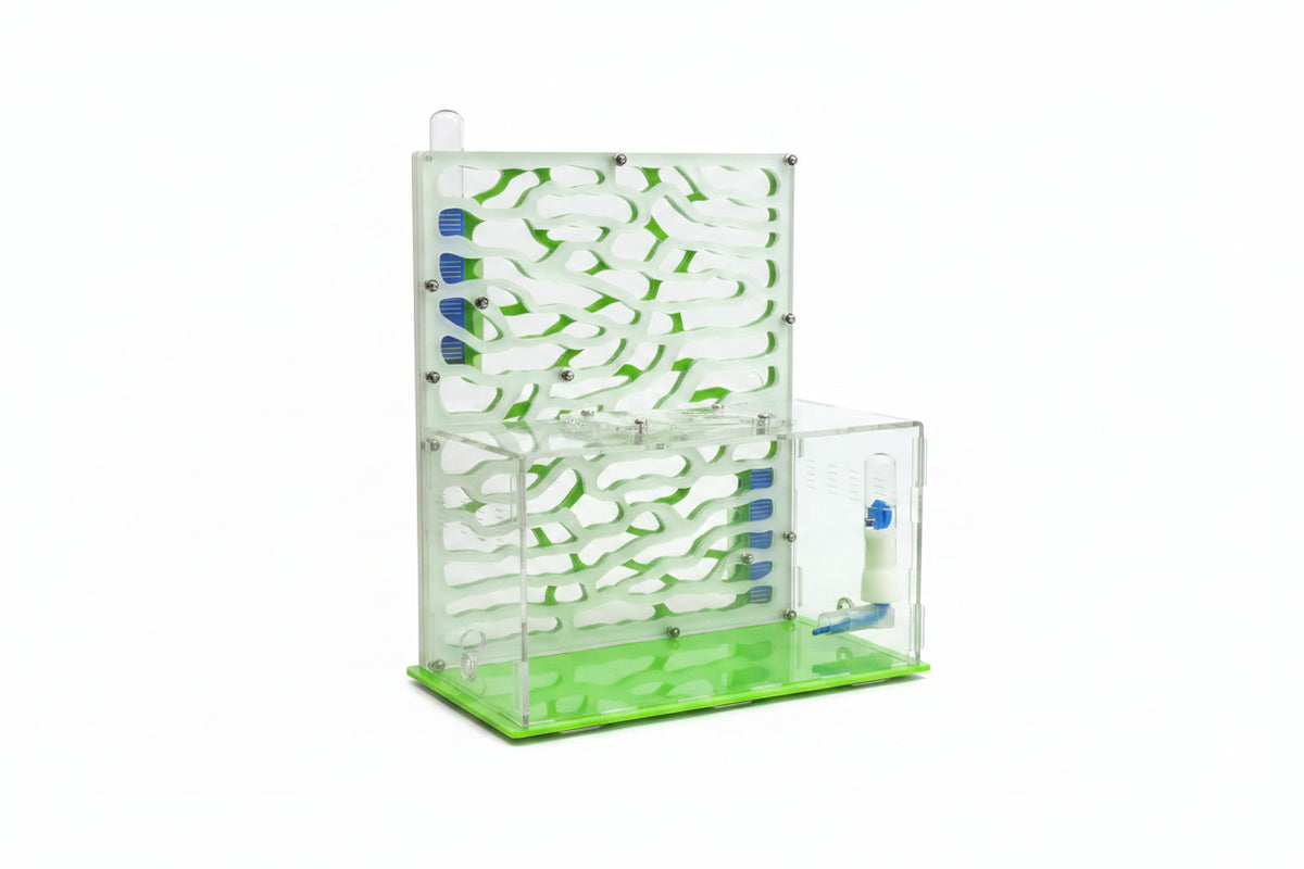 Expansion port on large acrylic ant farm for outworld or secondary nest connection