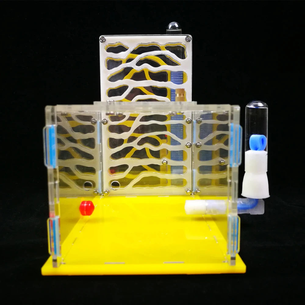 External feeding bowl attached to ant farm foraging area, yellow acrylic unit