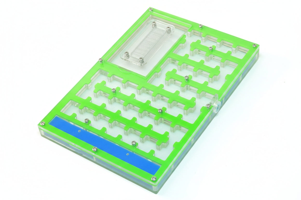 Lasius niger colony inside acrylic ant farm maze, clear side view