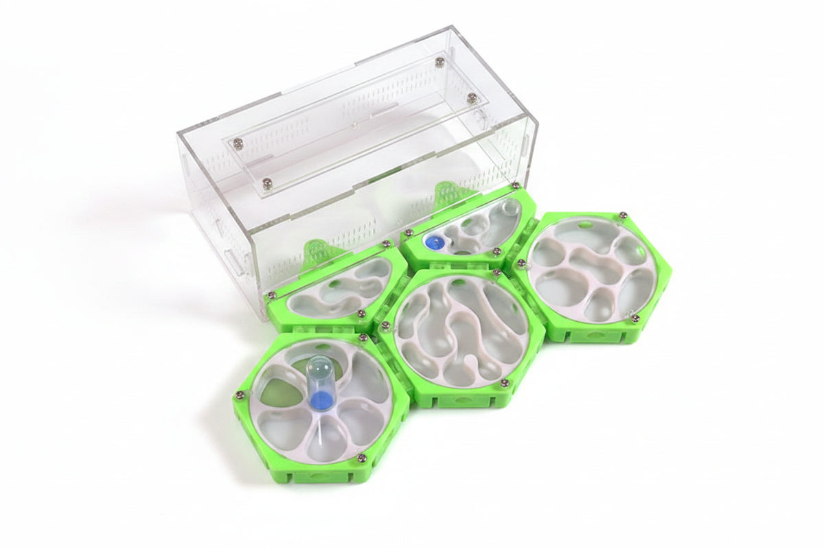 3D Modular Ant Farm Nest: expandable honeycomb maze, 5 sizes
