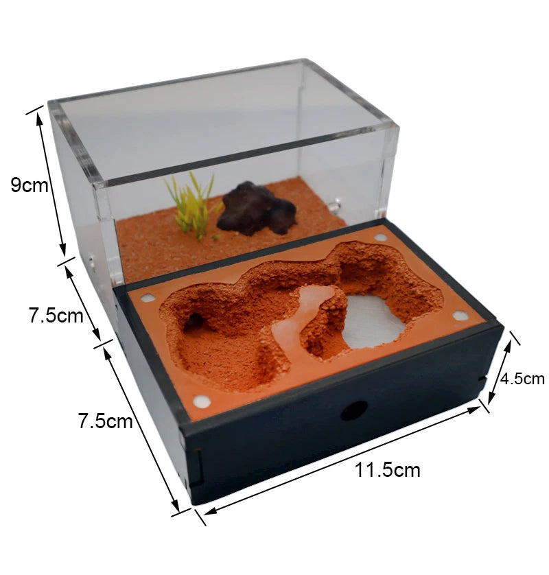 Concrete Ant Farm with Water Tower + Garbage Area
