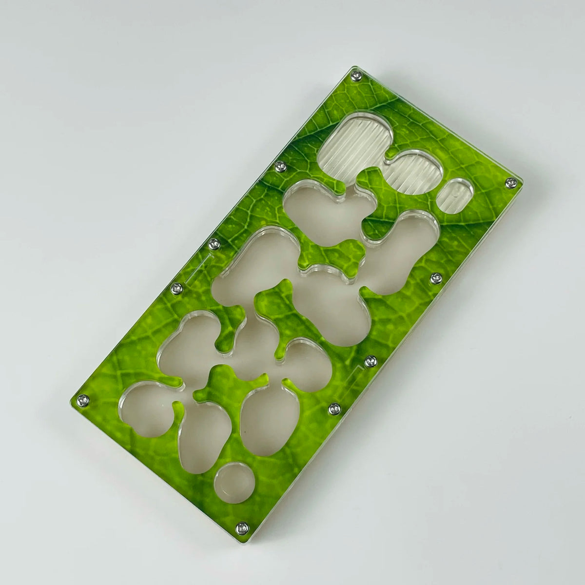 Modular Ant Farm Formicarium with Expansion Ports, Acrylic + Concrete