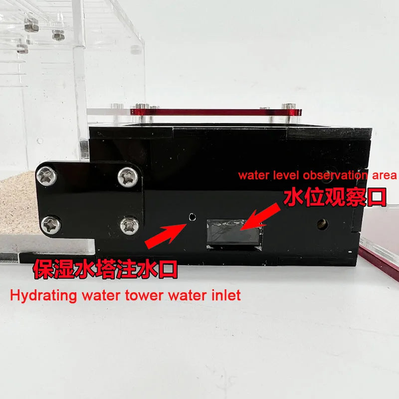 Concrete Expandable Ant Farm Formicarium with Hunting Area