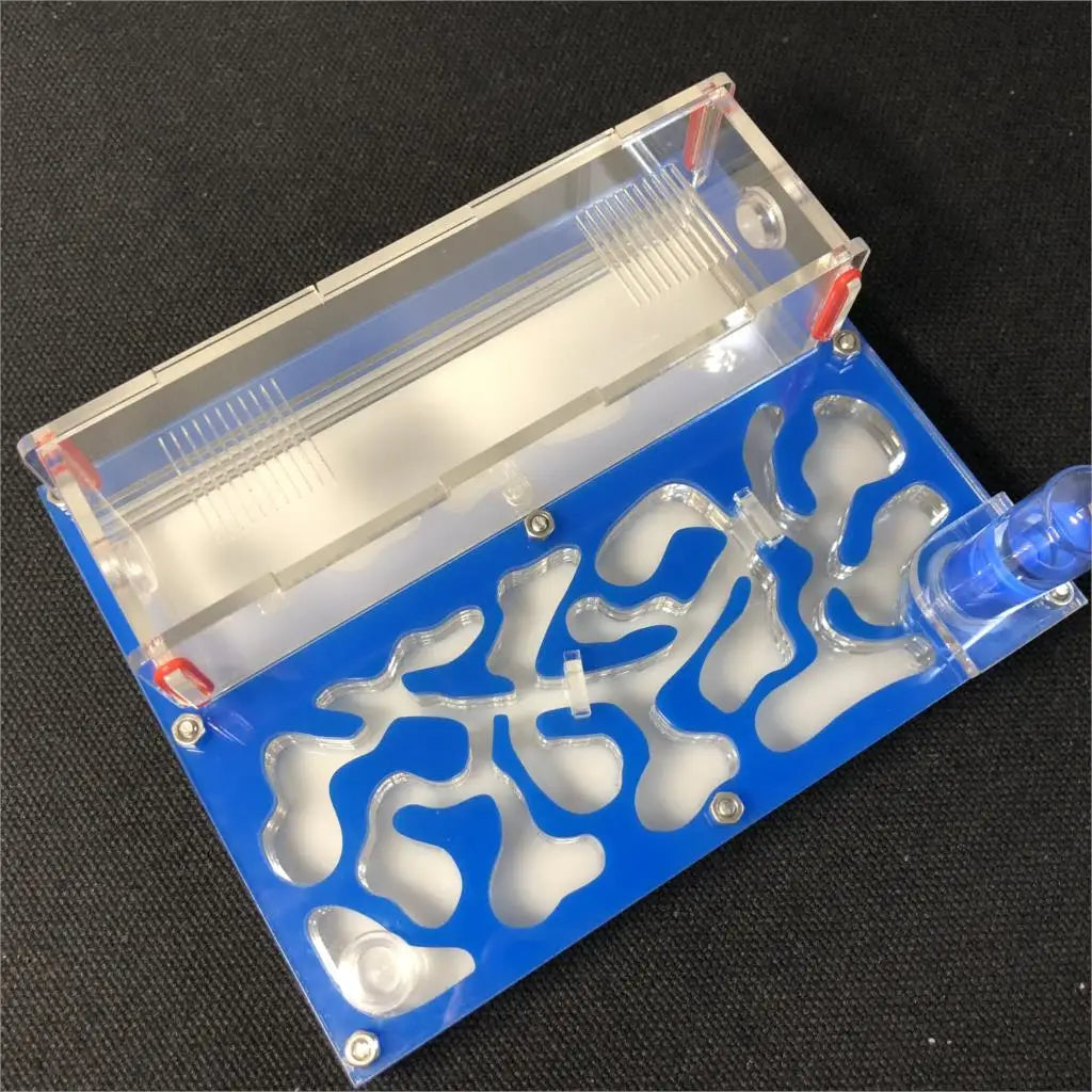 Acrylic Ant Farm with Test Tube Moisture Nest, 150×110mm