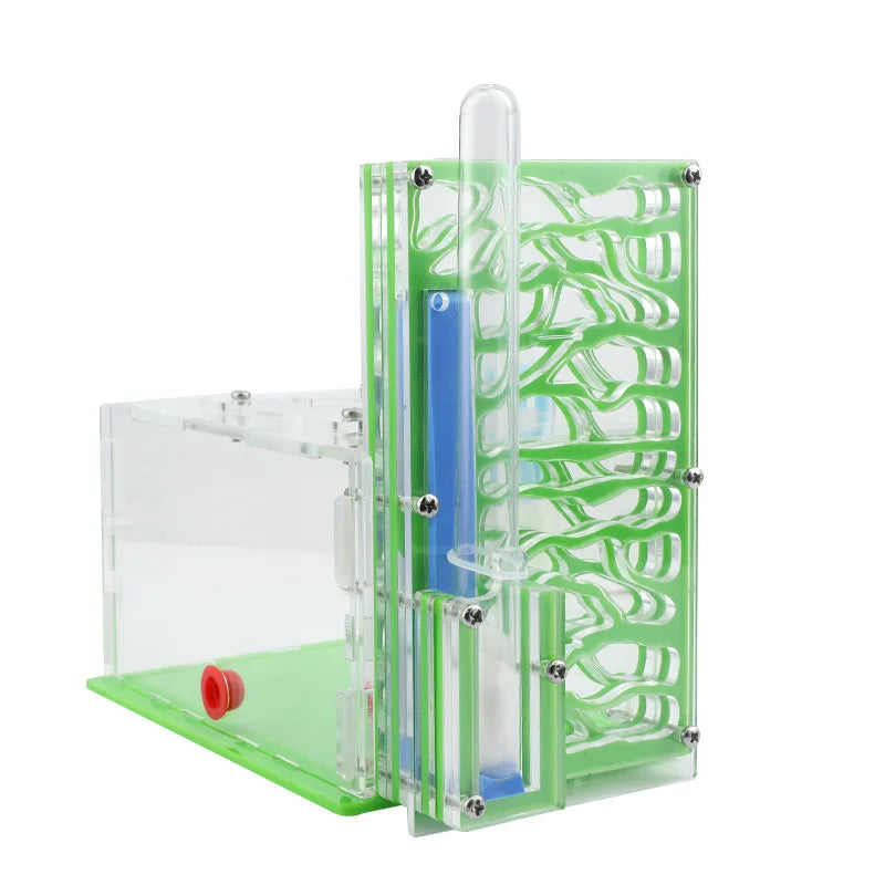 Big Villa Acrylic Ant Farm with Moisture Chamber