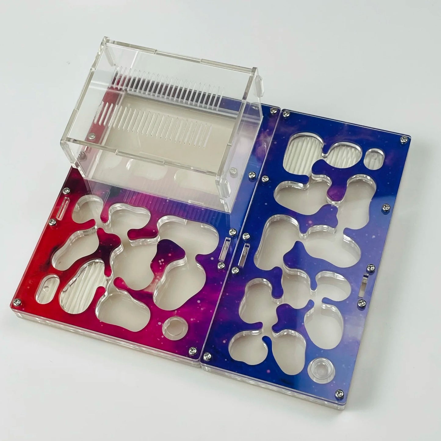 Modular Ant Farm Formicarium with Expansion Ports, Acrylic + Concrete