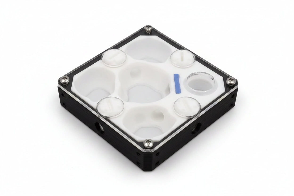 Four acrylic ant nest size variants A B C D laid out for comparison, from $39.95