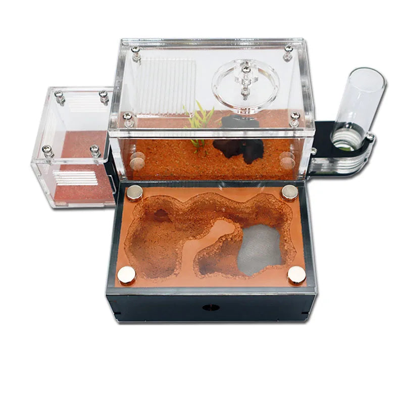 Side view of concrete ant farm showing water level observation window and injection port