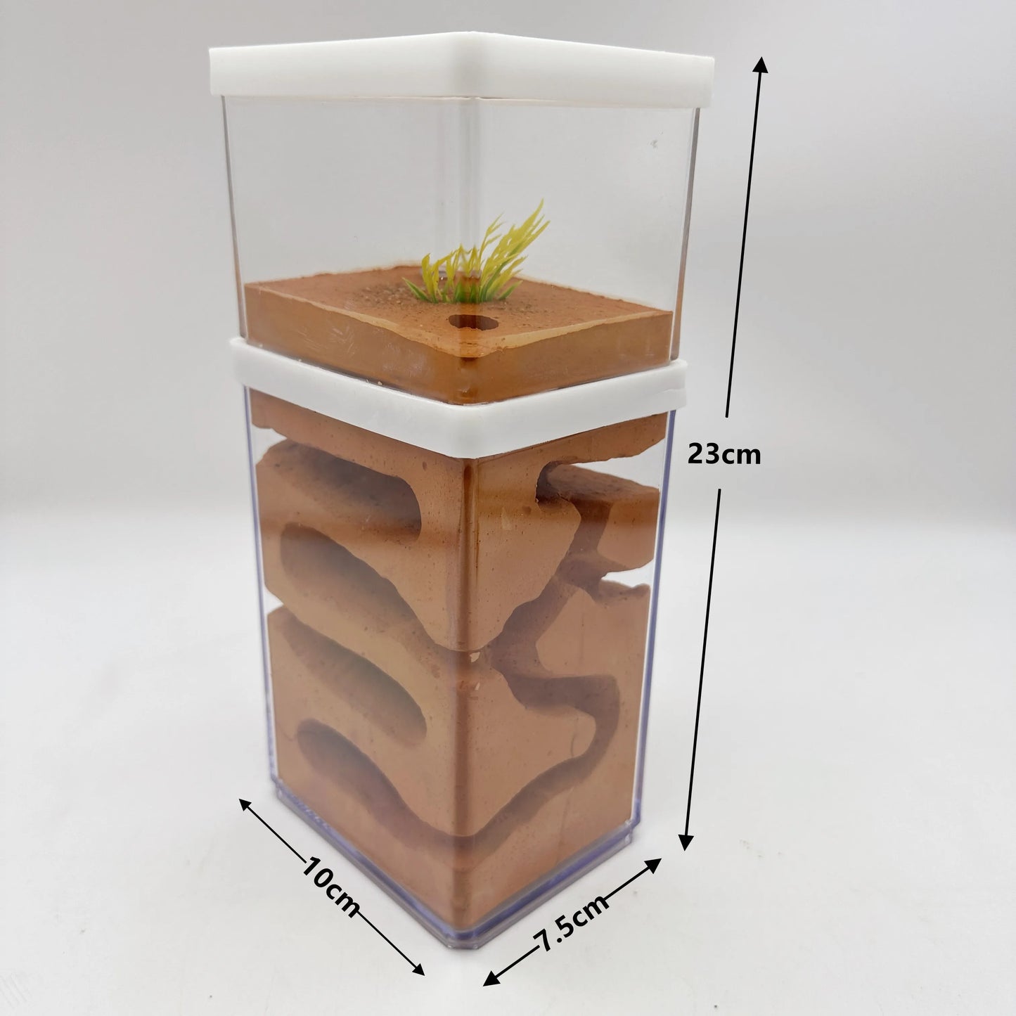 Close-up of gypsum plaster tunnel chambers inside the castle-style ant farm nest