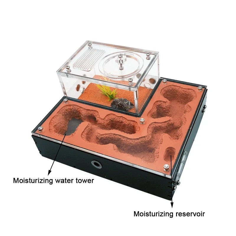 Three expansion ports on gypsum ant farm allowing connection of additional formicarium modules