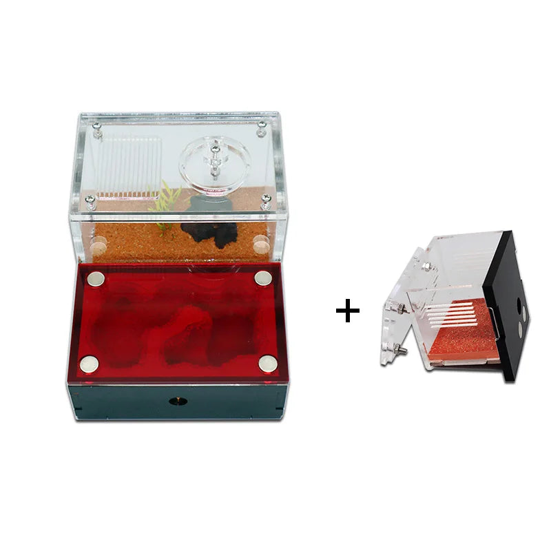 Yellow Soil Ant Farm Kit with Water Tower and Queen Area