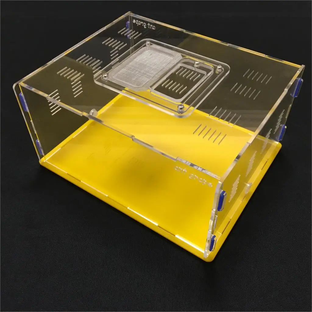 Ant Farm Grape Series XL Acrylic Nest - 5 Colors