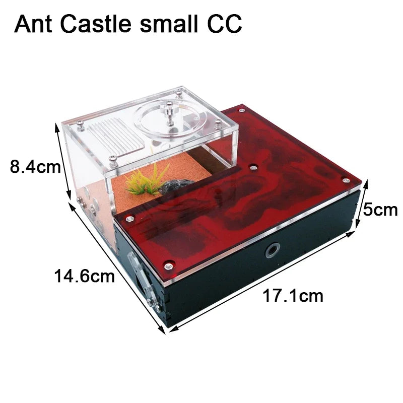 Gypsum Ant Farm Mini CC with Water Tower - Acrylic Nest