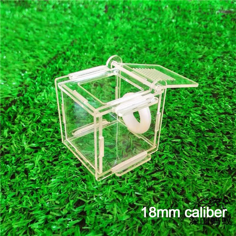 Acrylic ant nest feeding box with test tube connector, 18mm version close-up