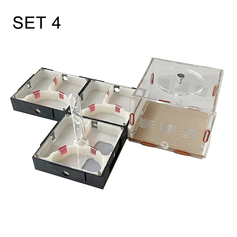 Modular Acrylic Ant Farm with Gypsum Nest + Water Tower