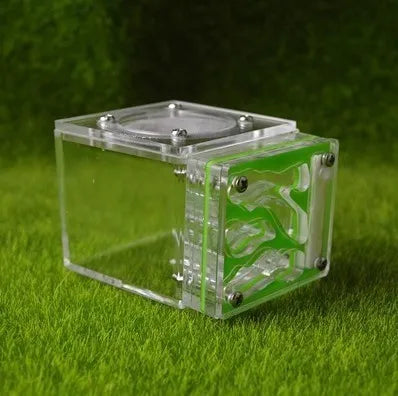 Acrylic Mini 3D Ant Nest, 5 Color Variants