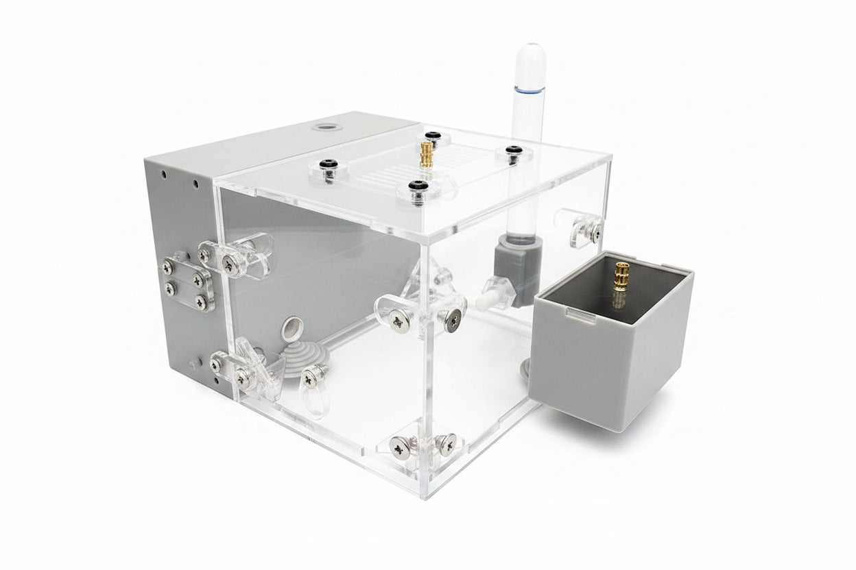 Valley ant farm foraging area with gypsum substrate - ant nest setup