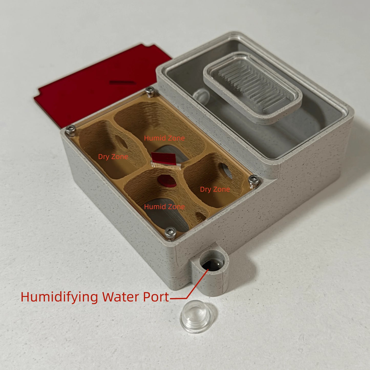 EXOPETO 3D-printed PLA formicarium side view showing 100 x 80 x 38 mm chamber dimensions