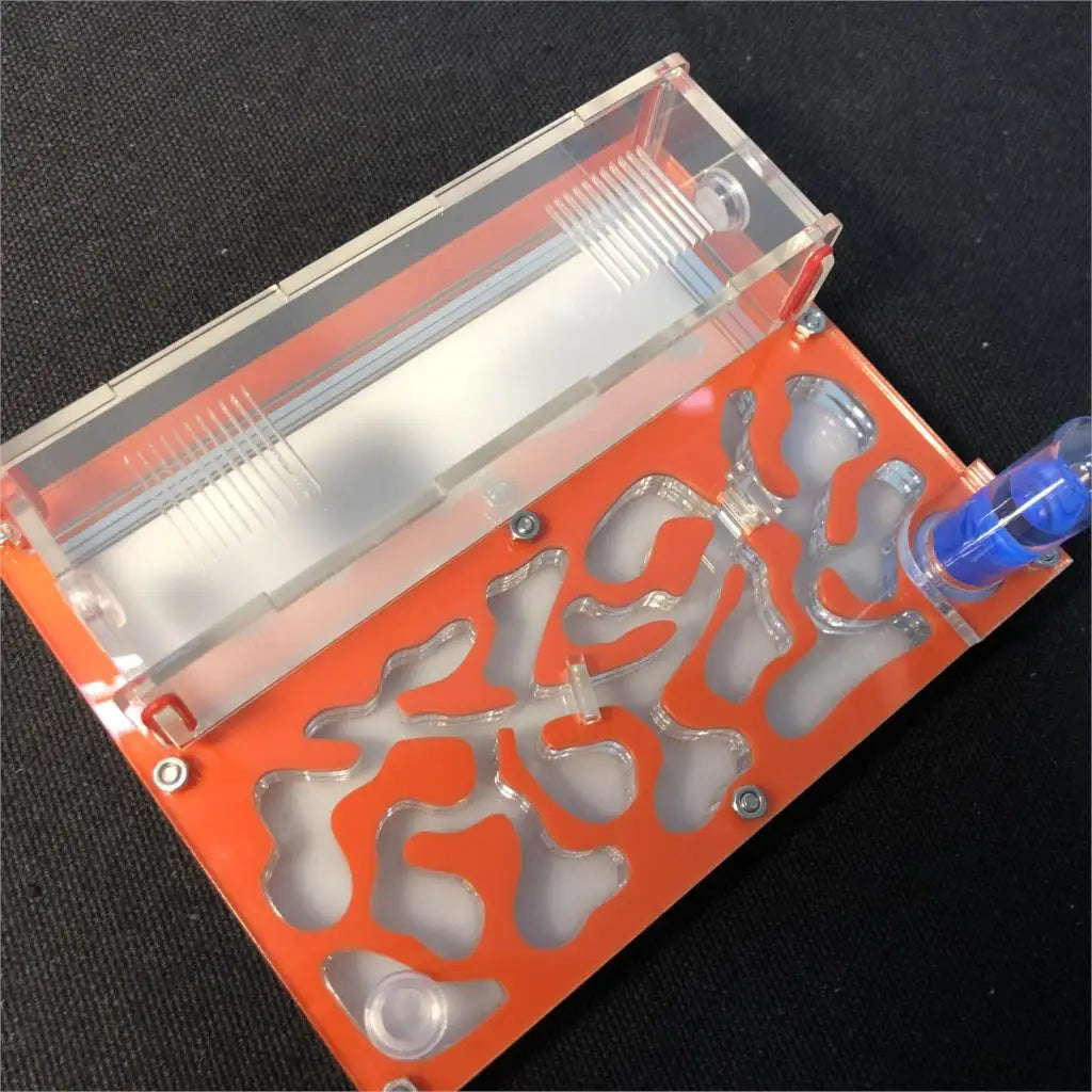 Acrylic Ant Farm with Test Tube Moisture Nest, 150×110mm