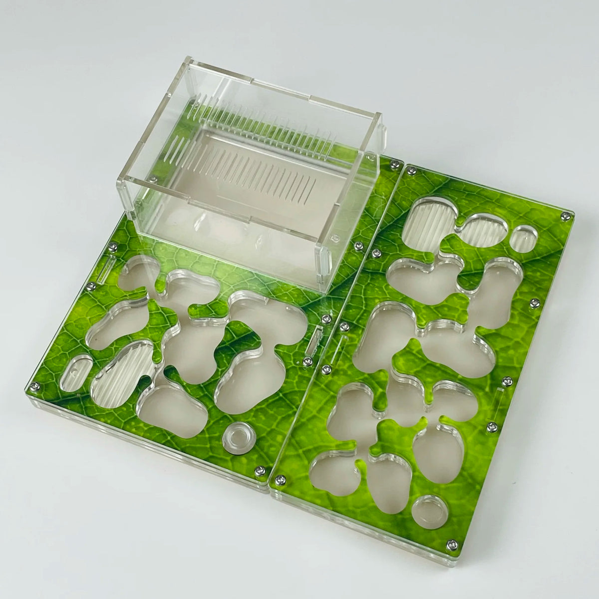 Modular Ant Farm Formicarium with Expansion Ports, Acrylic + Concrete