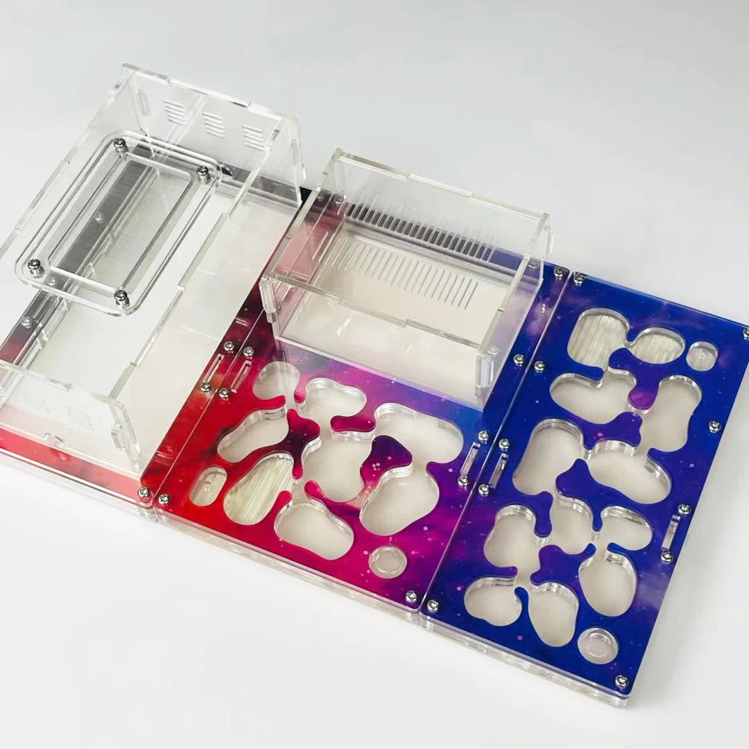 Modular Ant Farm Formicarium with Expansion Ports, Acrylic + Concrete