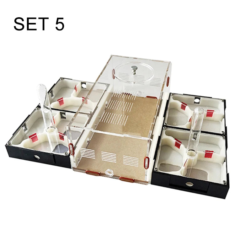 Modular Acrylic Ant Farm with Gypsum Nest + Water Tower