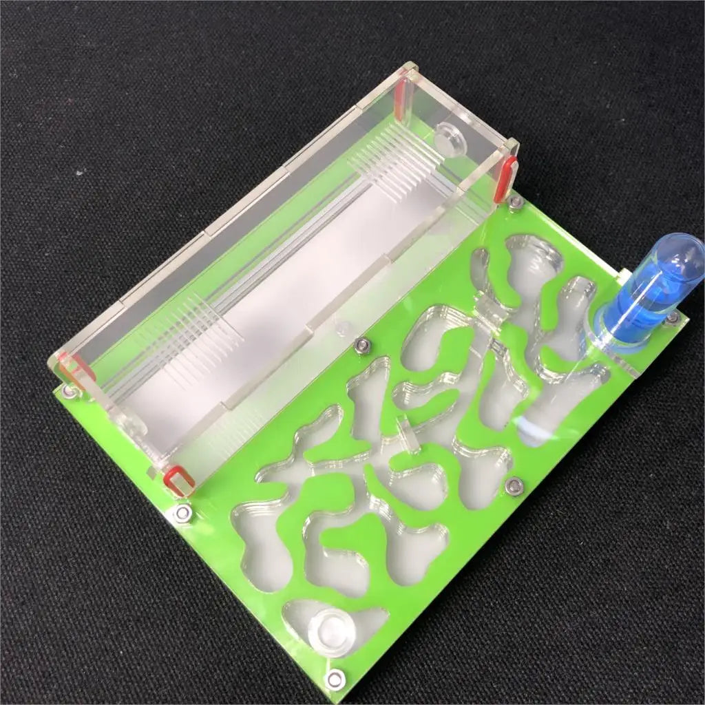 Ant farm acrylic nest side panel showing brood chamber transparency