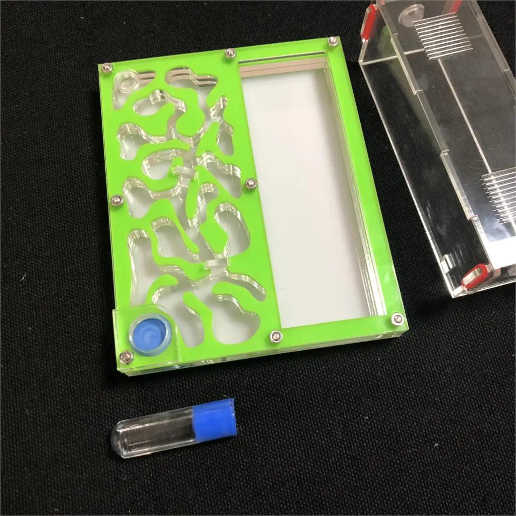 Acrylic ant nest 150x110mm assembled view with moisture chamber access port