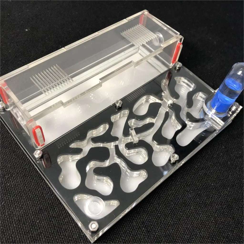 Acrylic ant farm moisture nest connector port for outworld expansion