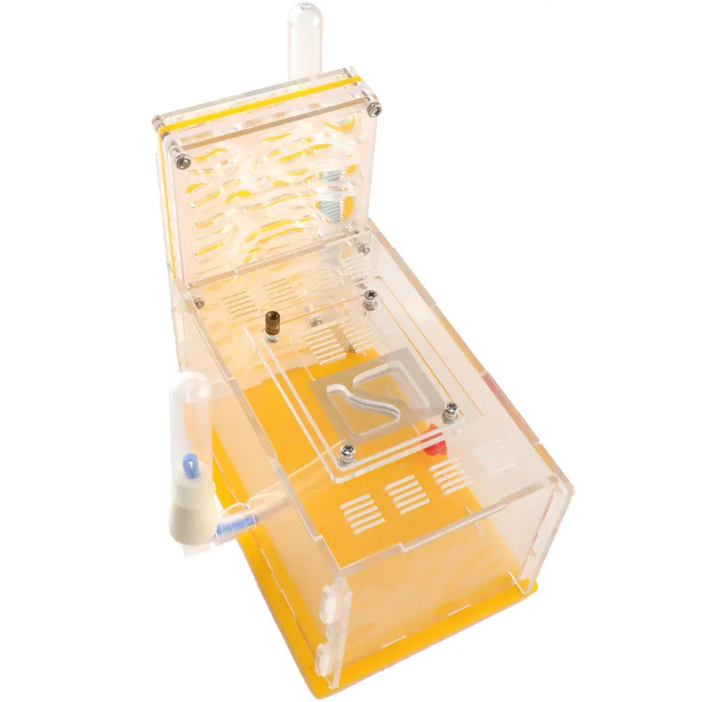 Acrylic ant nest villa side panel showing humidity gradient between chambers