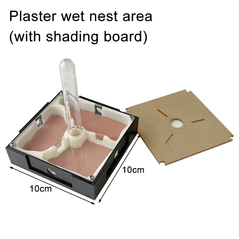 Modular Acrylic Ant Farm with Gypsum Nest + Water Tower