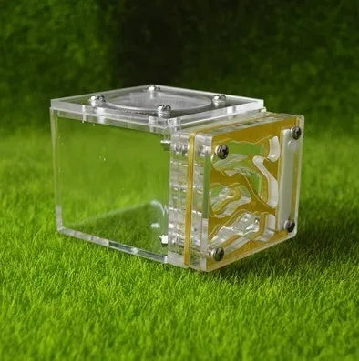Acrylic Mini 3D Ant Nest, 5 Color Variants