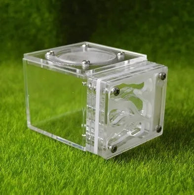 Acrylic Mini 3D Ant Nest, 5 Color Variants