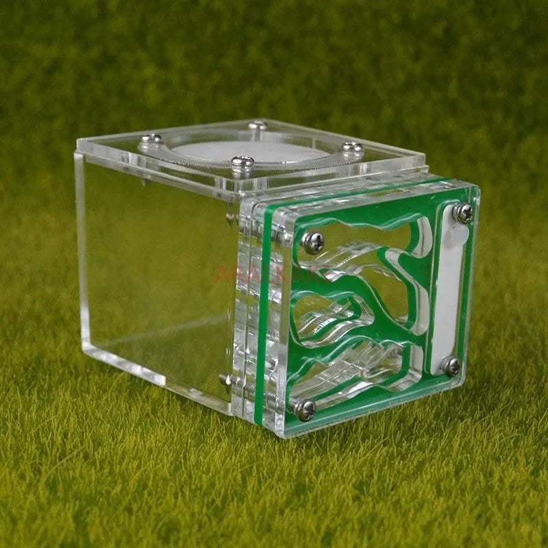Acrylic Mini 3D Ant Nest, 5 Color Variants