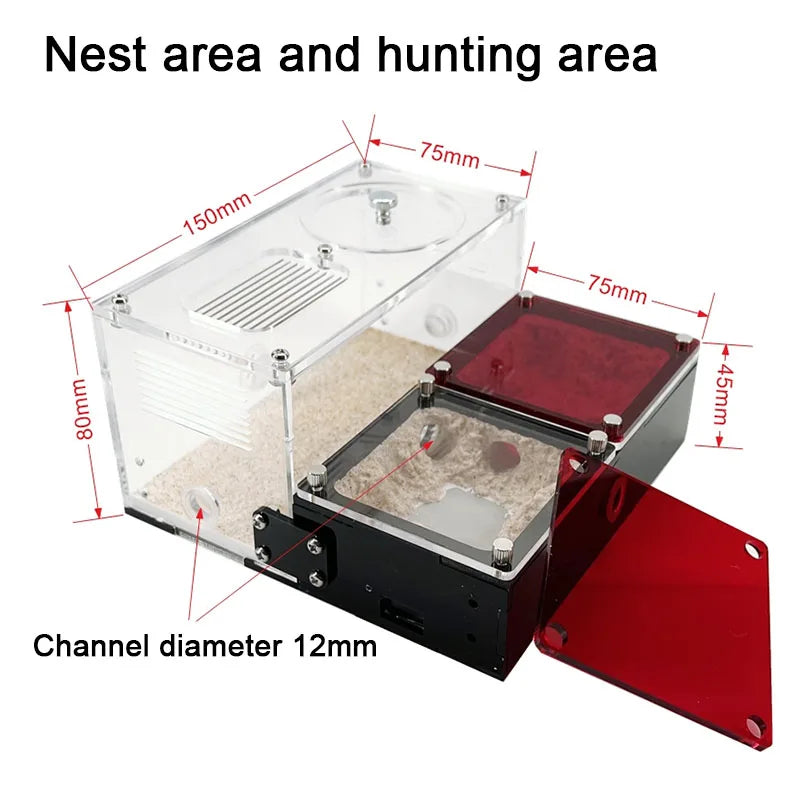 Concrete Expandable Ant Farm Formicarium with Hunting Area